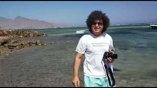 مسأله السن دندنها