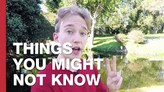 The City Of The Dead Colma California  The City Of The Dead Colma California