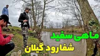 اولین ماهیگیری امسال برای ماهی سفید خزری رقم خورد رودخانه شفارود گیلان 