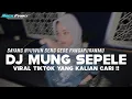 Download Lagu DJ SAYANG NYUWUN SENG GEDE PANGAPURAMU || DJ MUNG SEPELE REMIX VIRAL TIKTOK!!
