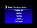 Iodine and Your Health - Dr David Brownstein MD