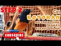 Download Lagu MB PASANG BADAN \u0026 MANGUT-MANGUT #kicaumania #muraibatu #rawatanmuraibatu 