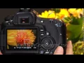 Introduction to the Canon 60D Basic Controls