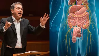 Male Ejaculation Exploring The Physiology 