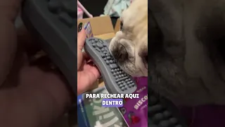 Já conhece o Box @petiko_br ?