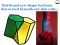 Welcome the SCUTOID in our Academia - Scientists discovered brand New Geometric shape