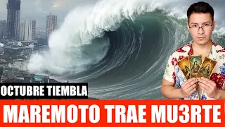 PREDICCIONES 2026 ‼️URGENTE ‼️LAS COSTAS DEL MUNDO 🌍 PELIGRAN 🤯