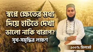 স্বপ্নে ক্ষেতের মধ্য দিয়ে হাটতে দেখলে কি হয় | স্বপ্নে হাঁটতে দেখা ভালো নাকি খারাপ #zubayerbinemam 
