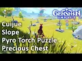 Cuijue Slope Puzzle 9 Pyro Torch Puzzle Genshin Impact