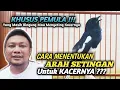 Download Lagu KHUSUS PEMULA !!! CARA MENENTUKAN ARAH SETINGAN UNTUK KACERNYA