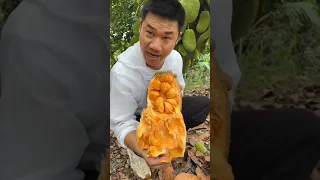 جوله مع الفواكه في الصين العالم الأجمل لايك واشتراك Like Comment Subscribe 