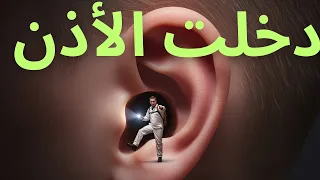 رحلة داخل الأذن   ماذا يحدث للصوت داخل أذنك  دندنها