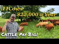 Insane Profits from 11 Cows on 27 Acres Our secrets to big profits