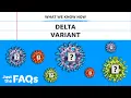 Delta variant How it affects mask-wearing vaccinated people Just the FAQs