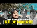 Lagu ONGKOS KE JEMBER MODAL AYO = TIKET PP INDO-MALAY. Untung Ada DIMSUM COY 