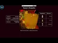 Drink Picker Random Animal Generator 2022-04-10