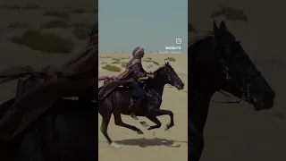 შენნაირები აღარ არიან Shennairebi Agar Arian 