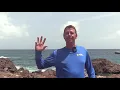 Dennis introduction