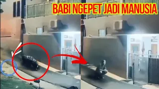 Download DETIK2 BABI NGEPET BERUBAH JADI MANUSIA TEREKAM KAMERA MP3