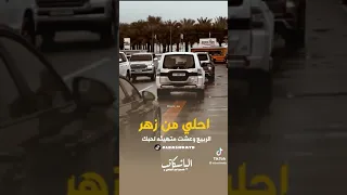 عمر محي الدين سهر القوافي 