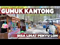 Lagu Bisa Lihat Anak Penyu Disini !!! Suasana Terbaru Wisata Pantai Gumuk Kantong Banyuwangi...