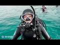 Download Lagu Scuba Dive Locally