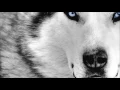 Download Lagu ►Now I'm Ready◄ Aggressive Hip Hop Instrumental Rap Beat 2016 (Free DL)