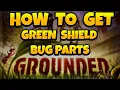 How to Get Green Shield Bug Parts in Grounded