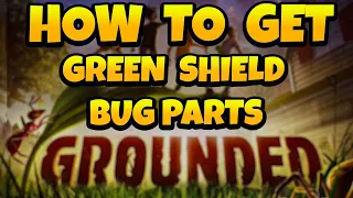 How to Get Green Shield Bug Parts in Grounded