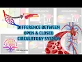 Circulation and body fluids Open and Closed Circulatory Systems Class 11 Biology