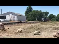 GLC Middleton Branch 7-10-18