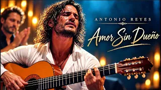Antonio Reyes – Amor Sin Dueño | Flamenco Romántico | Flamenco Español