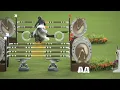 King Kolibri