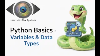 Python Basics Part1 Variables and Data Types - Learn with Blue Eye Labs