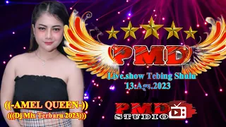 ot pmd remik house music mix dj amel queen live show desa tebing shulu oki 13 ags 2023