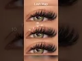 LASH MAP FADLASH Amazon
