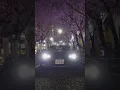 Night drive in Japan, cherry blossoms in the air, beautiful #Mazda #MX5 - the perfect evening!