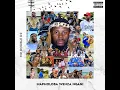 Download Lagu Mr Double D2 -Mapholoba Wenza Ngani  (Official Audio)