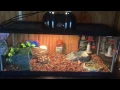 Why You Should Always Check Craigslist