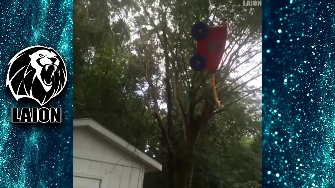 robo bitch/mega faggot funny