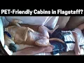 How to Find Dog Pet Friendly Cabins in Flagstaff Arizona save 40