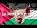 Lagu dj arizer,@Bluegrayfield ,@funbot_israel-anti_allahbabi -palestina babi funkot
