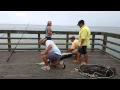 Large Fish from Jolly Roger Pier at Topsail Beach