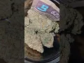 HUALA - Alien Mints Super Boof
