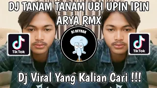 Download DJ TANAM TANAM UBI TAK PERLU DI BAJA ORANG BERBUDI KITA BERBAHASA | DJ UPIN IPIN VIRAL TIK TOK! MP3