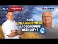 Lagu 🌧️ Kan graangebiede broodnodige reën kry? | Weeroorsig – 12 Februarie 2026