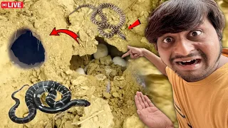Real Zinda Snake 😳🐍 Dekh Liya First Time ? 101% True