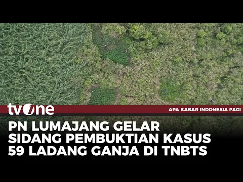 Terungkap! 59 Titik Ladang Ganja di Gunung Bromo