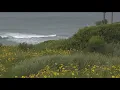 San Diego Winter Storm - Noon update High wind surf and the latest from the SD airport