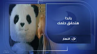 برنامج  خيرك سابق  مع ريهام سعيد   باندا هتحقق أحلامك  قول نفسك في إيه  وسيب الباقي علينا دندنها